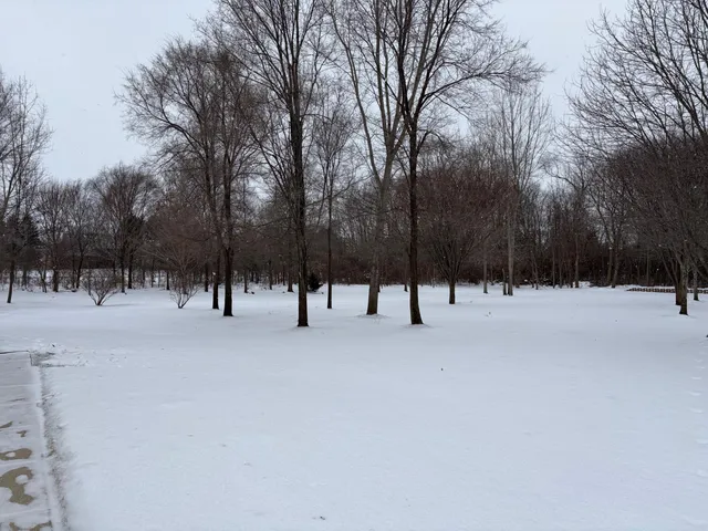 $339,000 | 13529 Christina Lane, Belleville, MI 48111