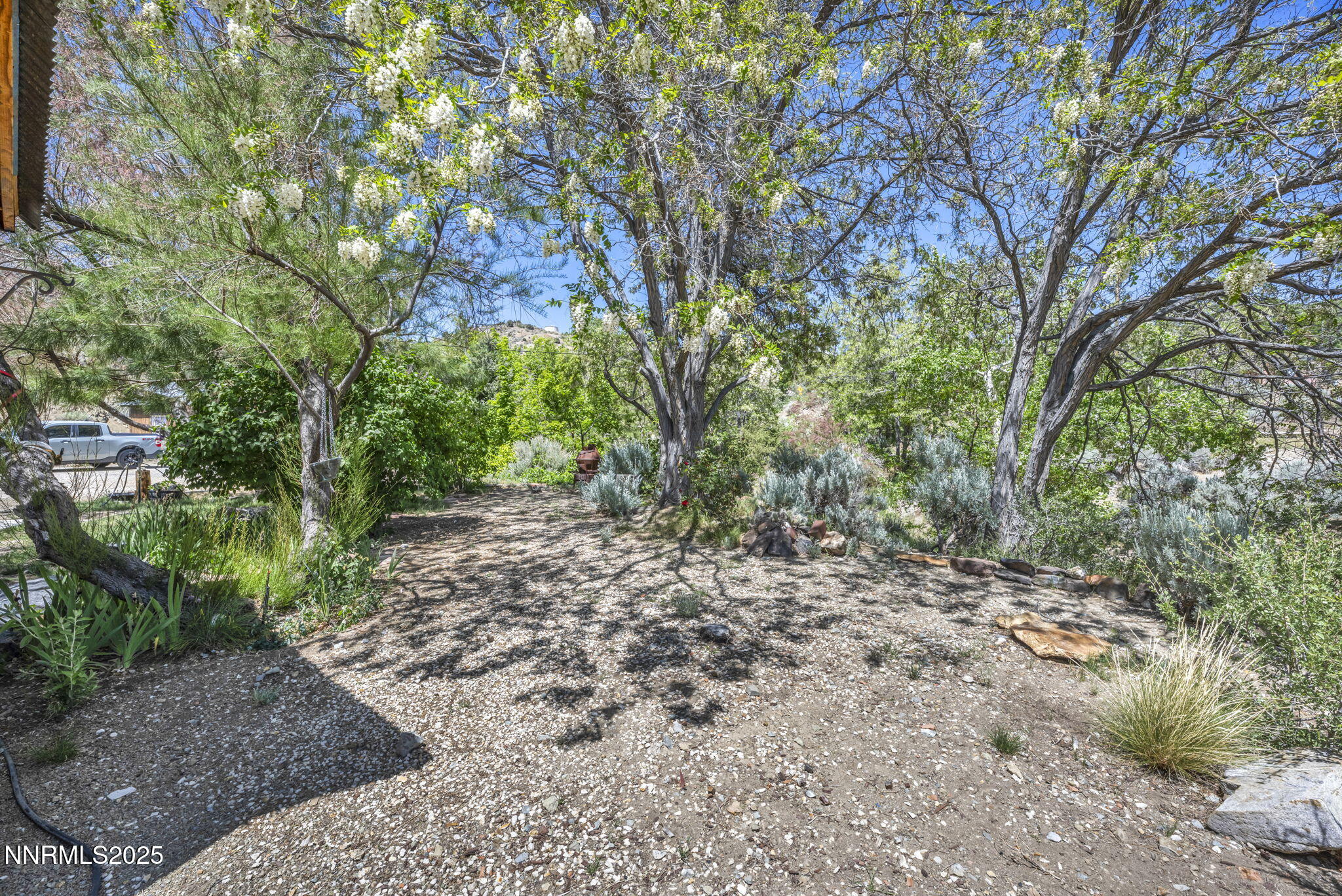 70 4th Street Silver City, NV 89428 - Photo 24 of 29 a view of a yard with plants and large trees