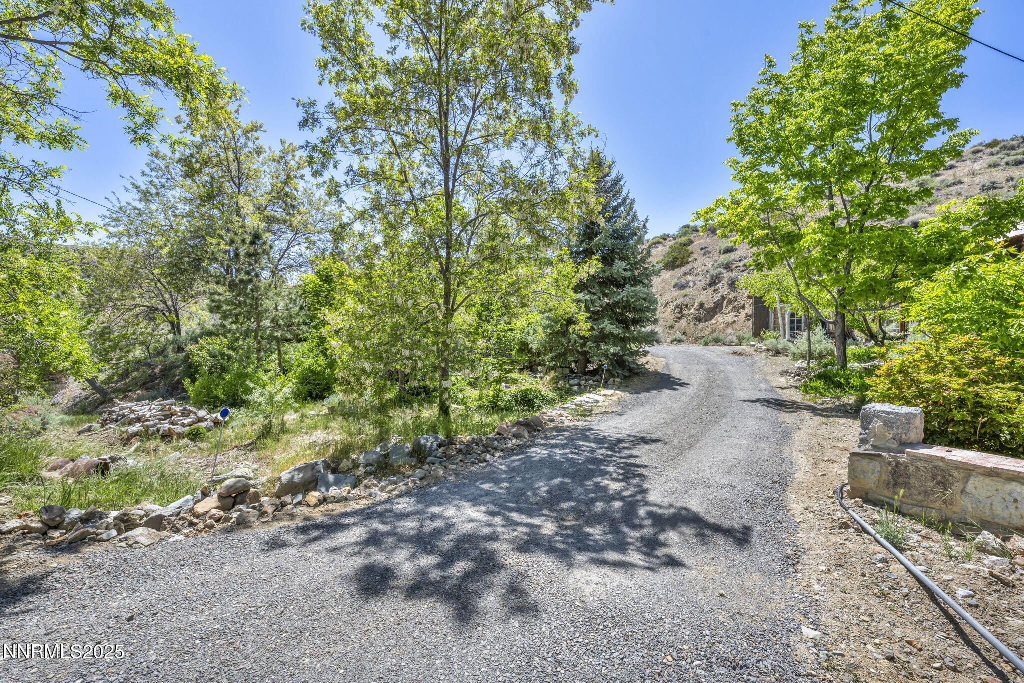 70 4th Street Silver City, NV 89428 - Photo 25 of 29 a view of a dirt road with trees