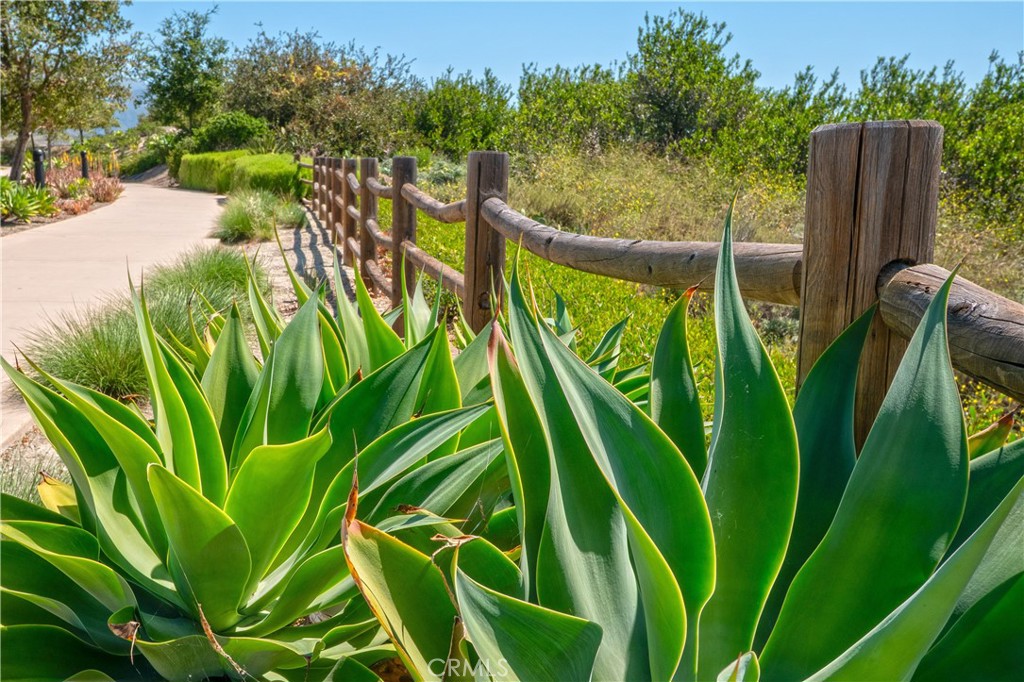 609 Shadowbrook Lake Forest, CA 92610 - Photo 33 of 42