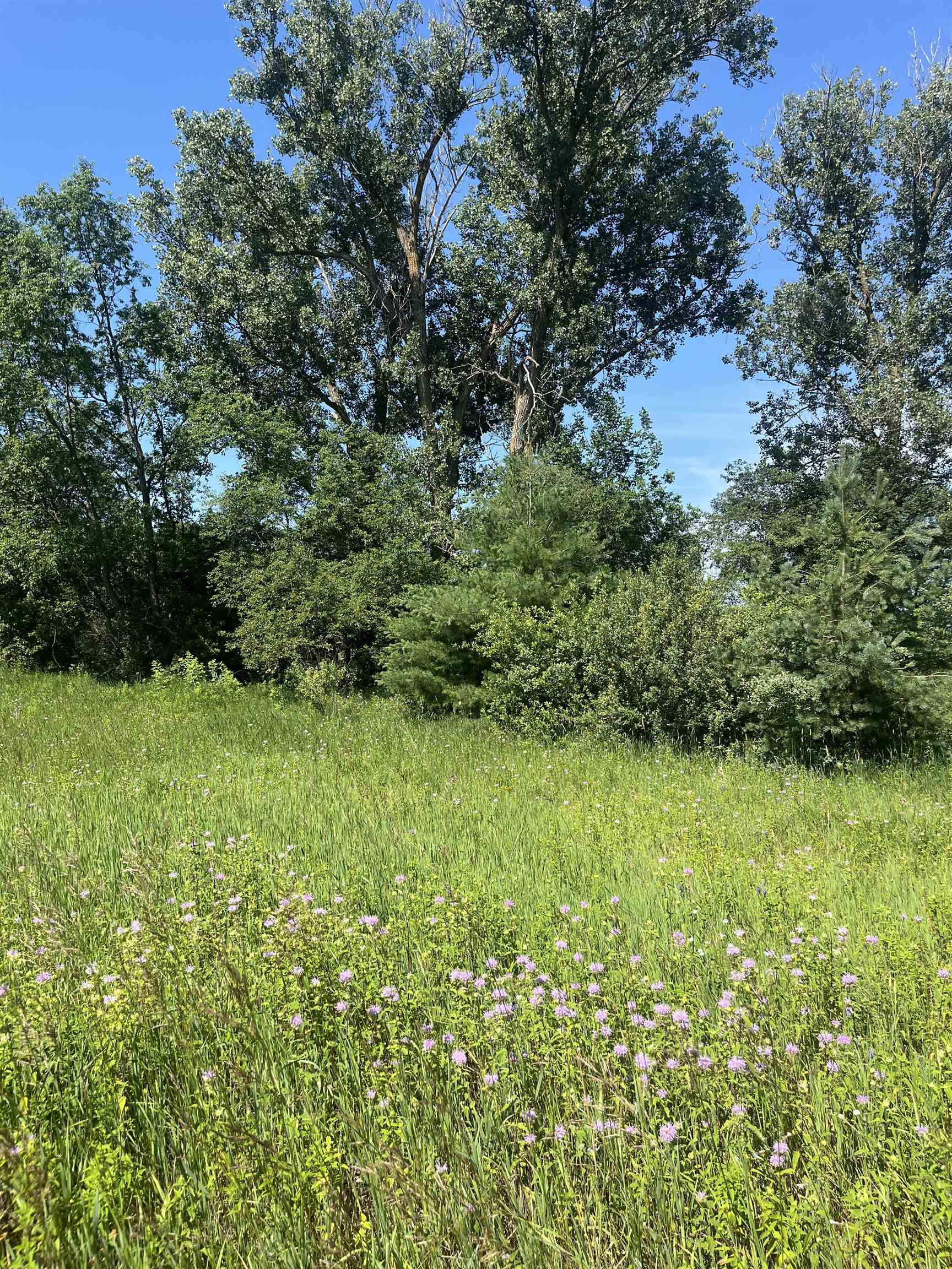 Packingham Road Manton, MI 49663 - Photo 18 of 25