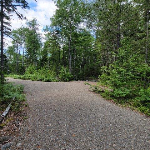 T4 Wadleigh Pond Road Millinocket, ME 04462 - Photo 17 of 38 Driveway
