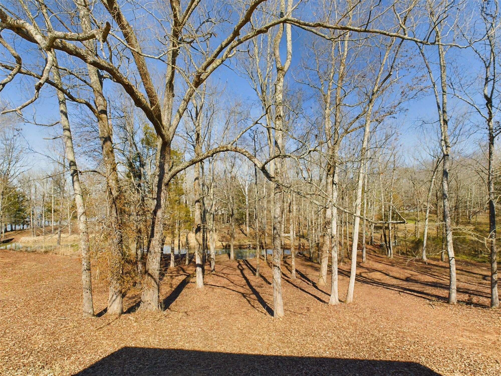 190 Kay Jennings Circle Decatur, TN 37322 - Photo 50 of 70