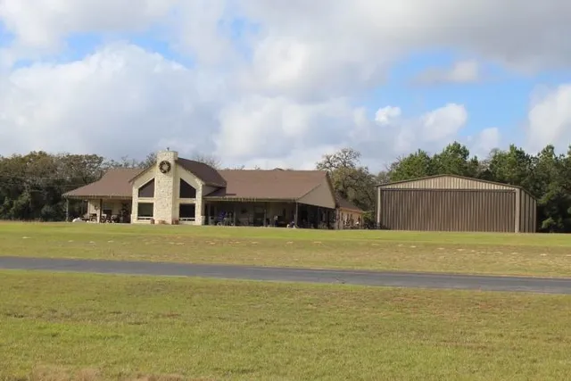 a view of a forest with a tree