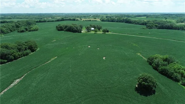 $990,150 | Southwest Taylor Road, Clarksdale, MO 64430