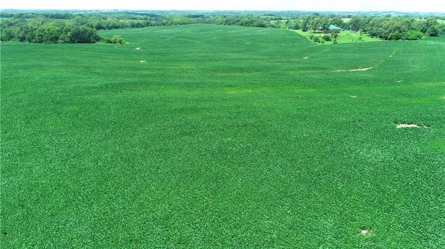 $990,150 | Southwest Taylor Road, Clarksdale, MO 64430