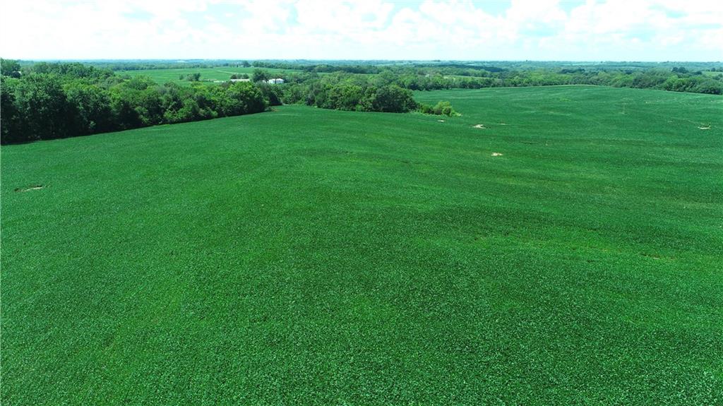 Southwest Taylor Road Clarksdale, MO 64430 - Photo 13 of 20