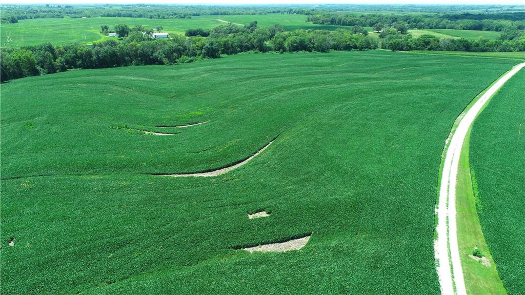 Southwest Taylor Road Clarksdale, MO 64430 - Photo 14 of 20