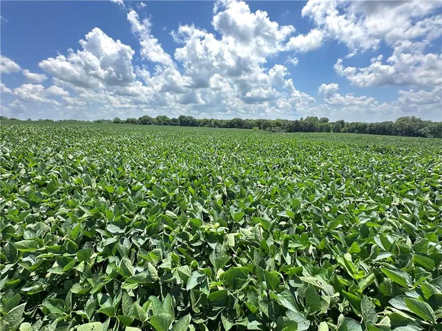 $990,150 | Southwest Taylor Road, Clarksdale, MO 64430