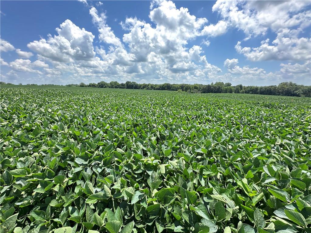 Southwest Taylor Road Clarksdale, MO 64430 - Photo 15 of 20