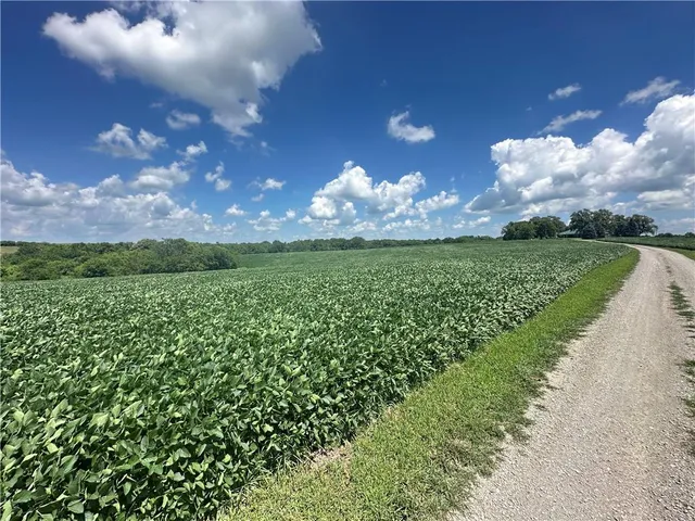 $990,150 | Southwest Taylor Road, Clarksdale, MO 64430