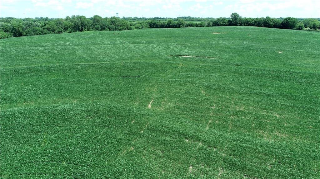 Southwest Taylor Road Clarksdale, MO 64430 - Photo 18 of 20