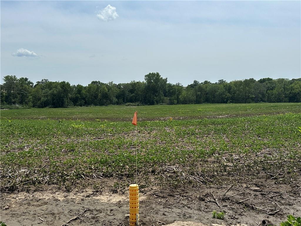 Southwest Taylor Road Clarksdale, MO 64430 - Photo 19 of 20