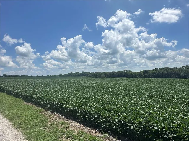 $990,150 | Southwest Taylor Road, Clarksdale, MO 64430