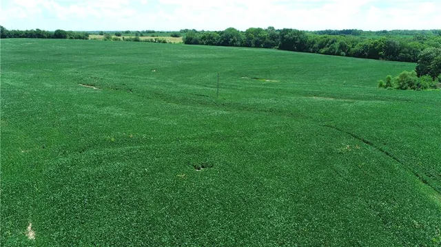 $990,150 | Southwest Taylor Road, Clarksdale, MO 64430