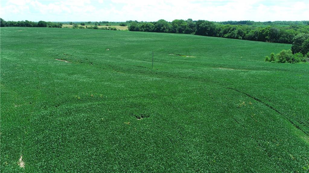 Southwest Taylor Road Clarksdale, MO 64430 - Photo 2 of 20