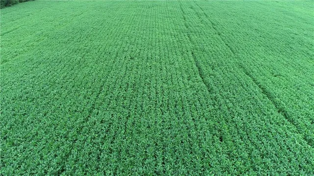 $990,150 | Southwest Taylor Road, Clarksdale, MO 64430