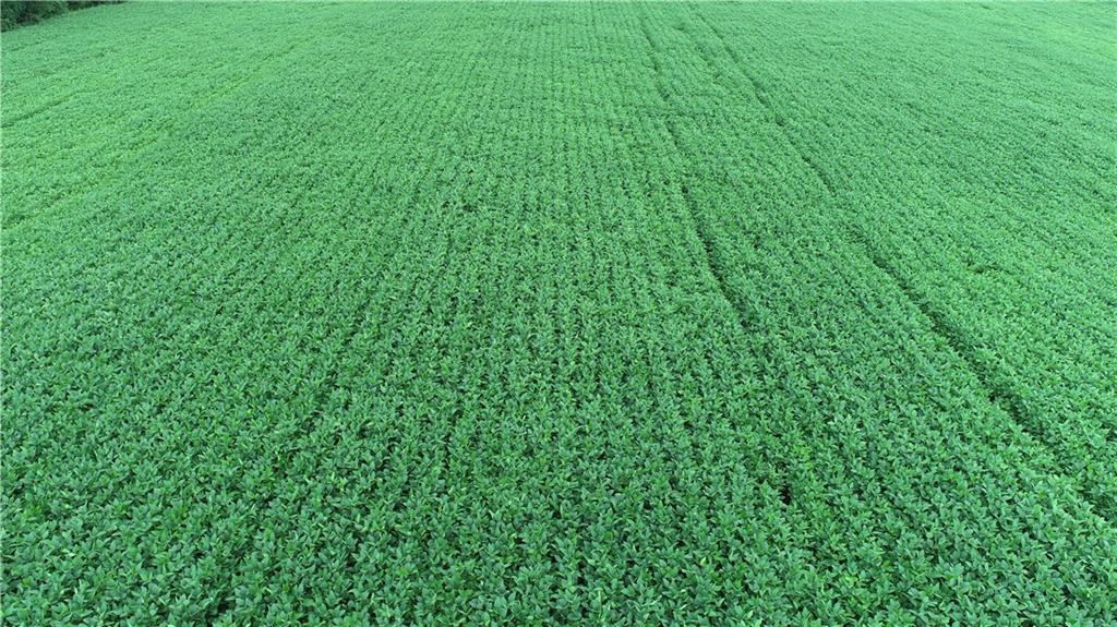 Southwest Taylor Road Clarksdale, MO 64430 - Photo 3 of 20