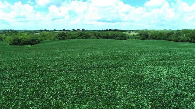 $990,150 | Southwest Taylor Road, Clarksdale, MO 64430