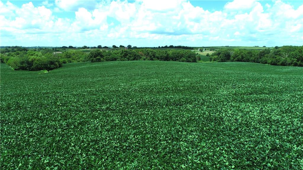 Southwest Taylor Road Clarksdale, MO 64430 - Photo 4 of 20