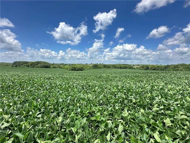 $990,150 | Southwest Taylor Road, Clarksdale, MO 64430