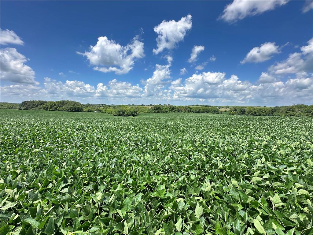 Southwest Taylor Road Clarksdale, MO 64430 - Photo 5 of 20