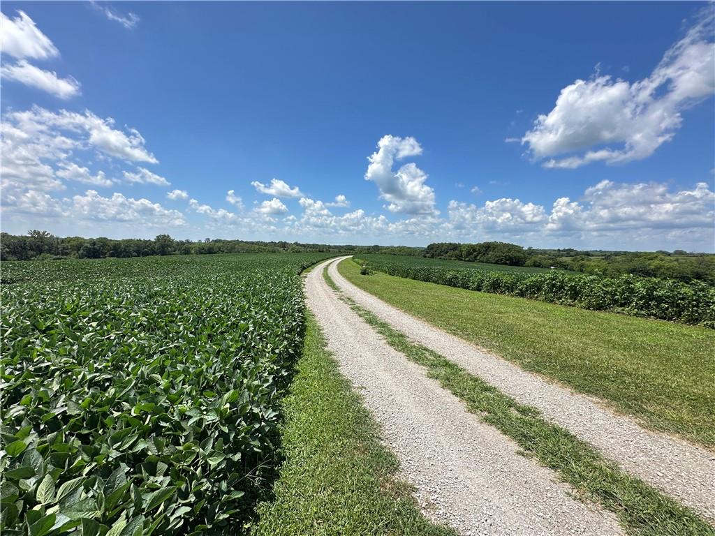 Southwest Taylor Road Clarksdale, MO 64430 - Photo 6 of 20