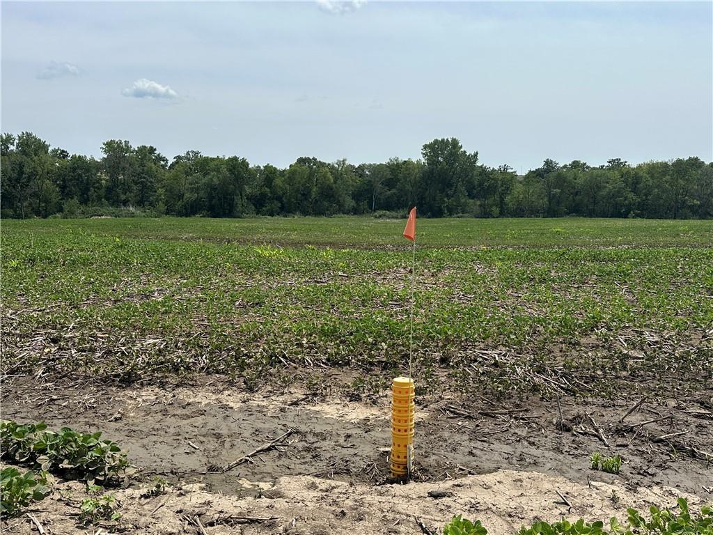 Southwest Taylor Road Clarksdale, MO 64430 - Photo 7 of 20