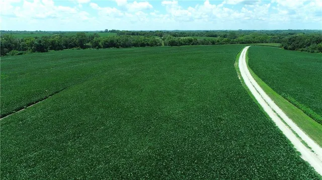 $990,150 | Southwest Taylor Road, Clarksdale, MO 64430