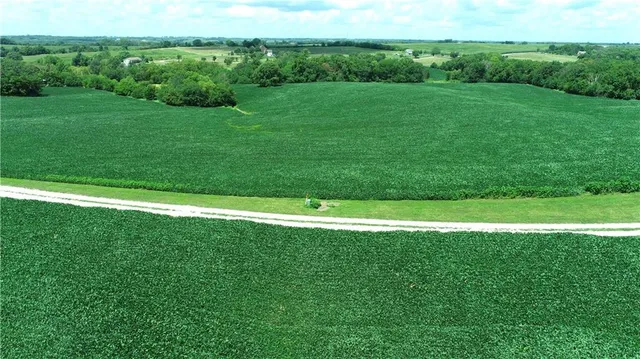 $990,150 | Southwest Taylor Road, Clarksdale, MO 64430