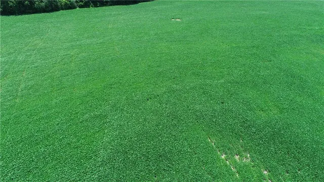 $990,150 | Southwest Taylor Road, Clarksdale, MO 64430