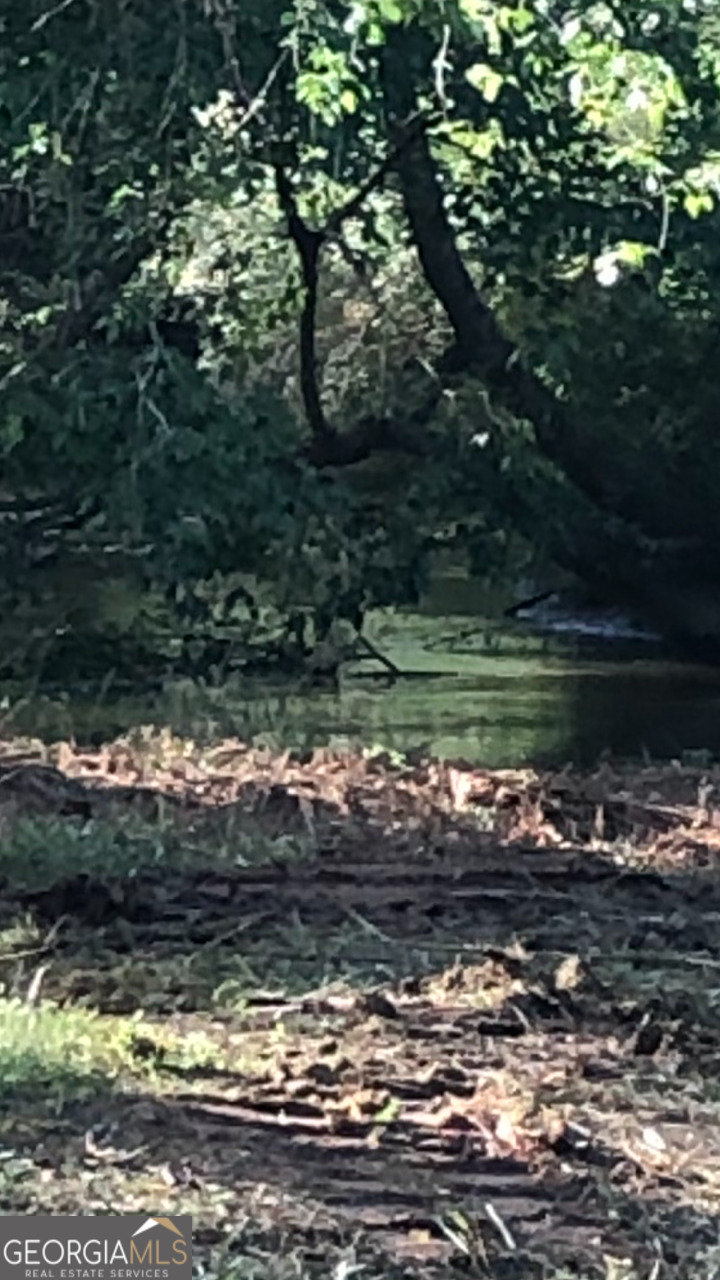 0 Sportsman Club Road Grantville, GA 30220 - Photo 40 of 46 a view of a water pond