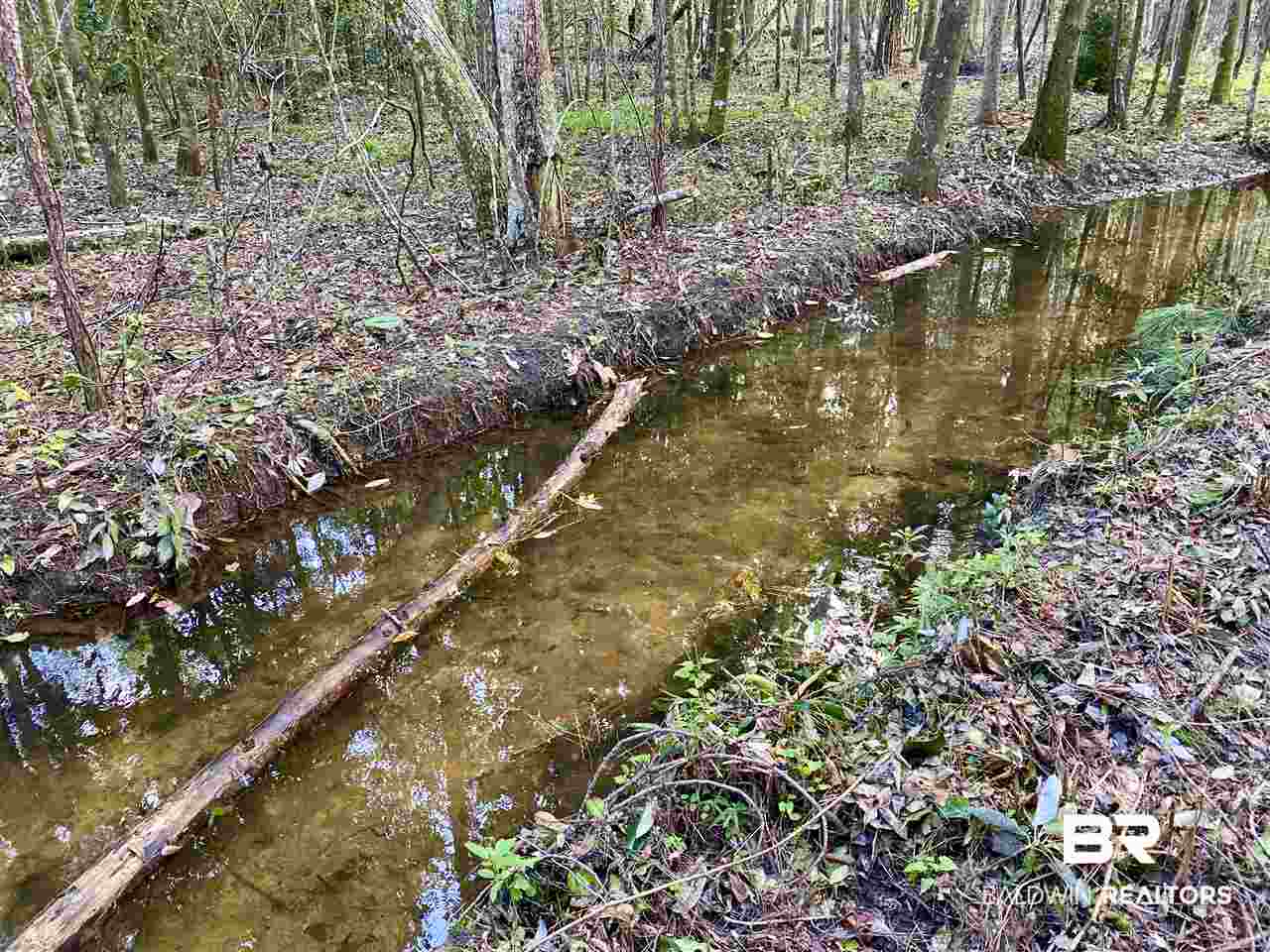 0 Maureen Circle Daphne, AL 36527 - Photo 4 of 26
