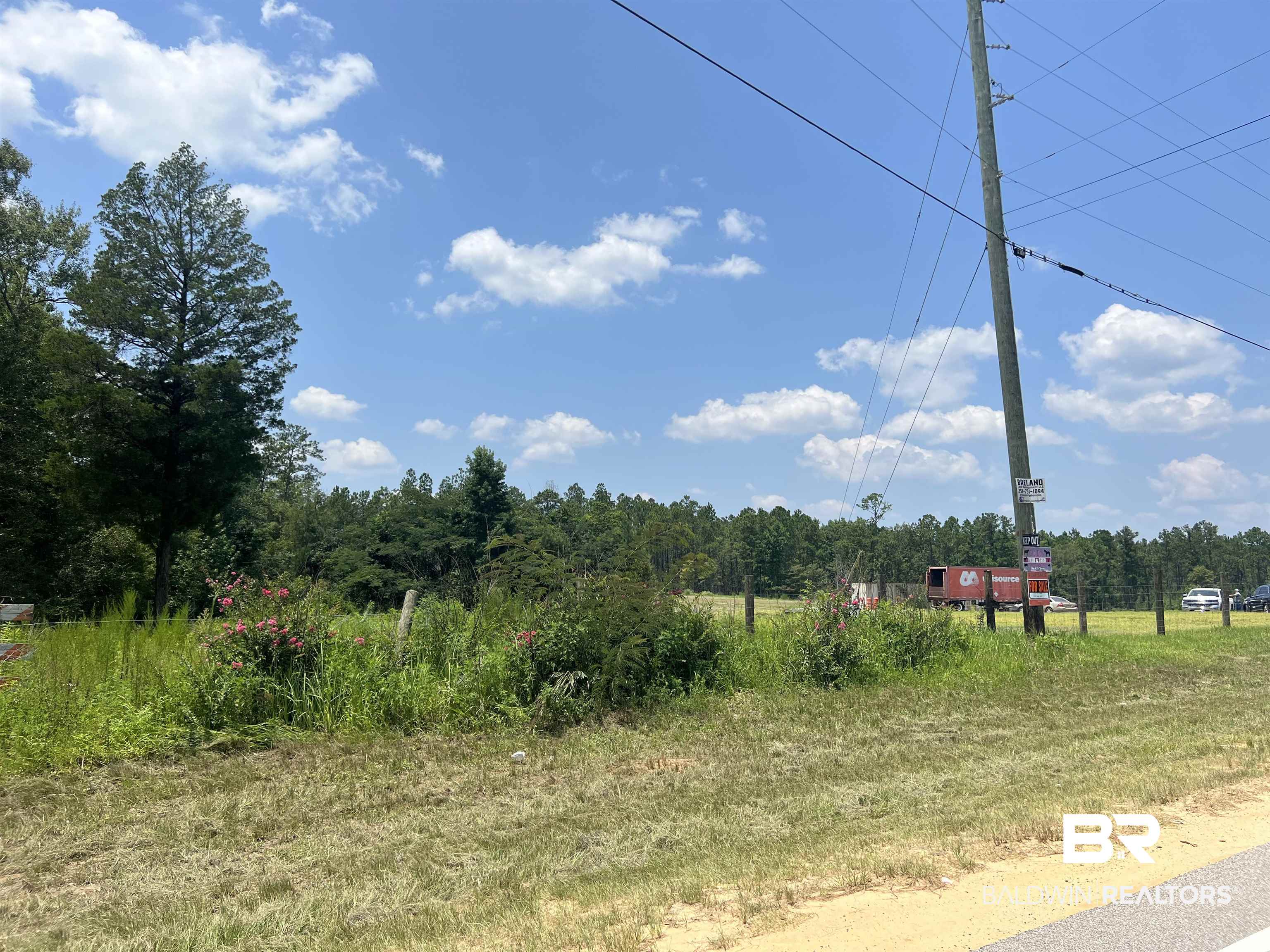 0 Beverly Jefferies Highway Citronelle, AL 36522 - Photo 8 of 19
