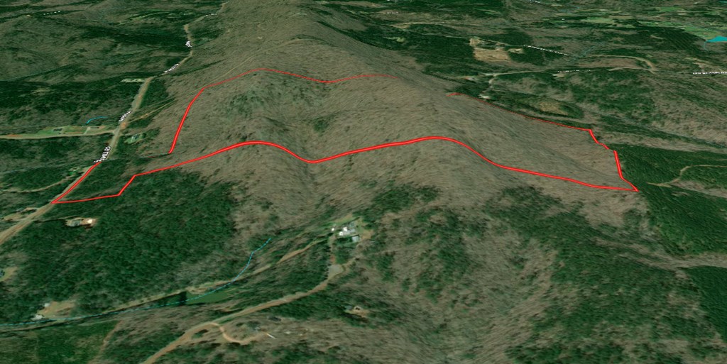 127.96-ac Johnson Mill Road Hamilton, GA 31811 - Photo 3 of 5 an aerial view of a house