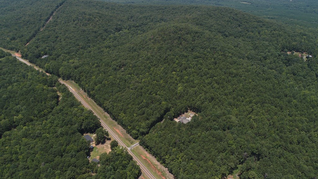 127.96-ac Johnson Mill Road Hamilton, GA 31811 - Photo 4 of 5 a view of a house with a yard