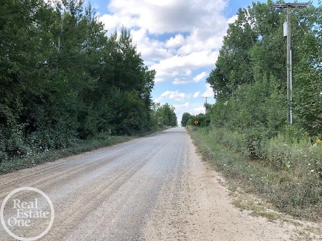 8390 Arendt Road Yale, MI 48097 - Photo 50 of 53