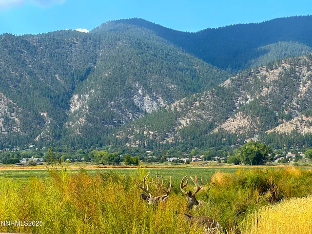 $1,700,000 | 2460 Deerhaven, Genoa, NV 89411
