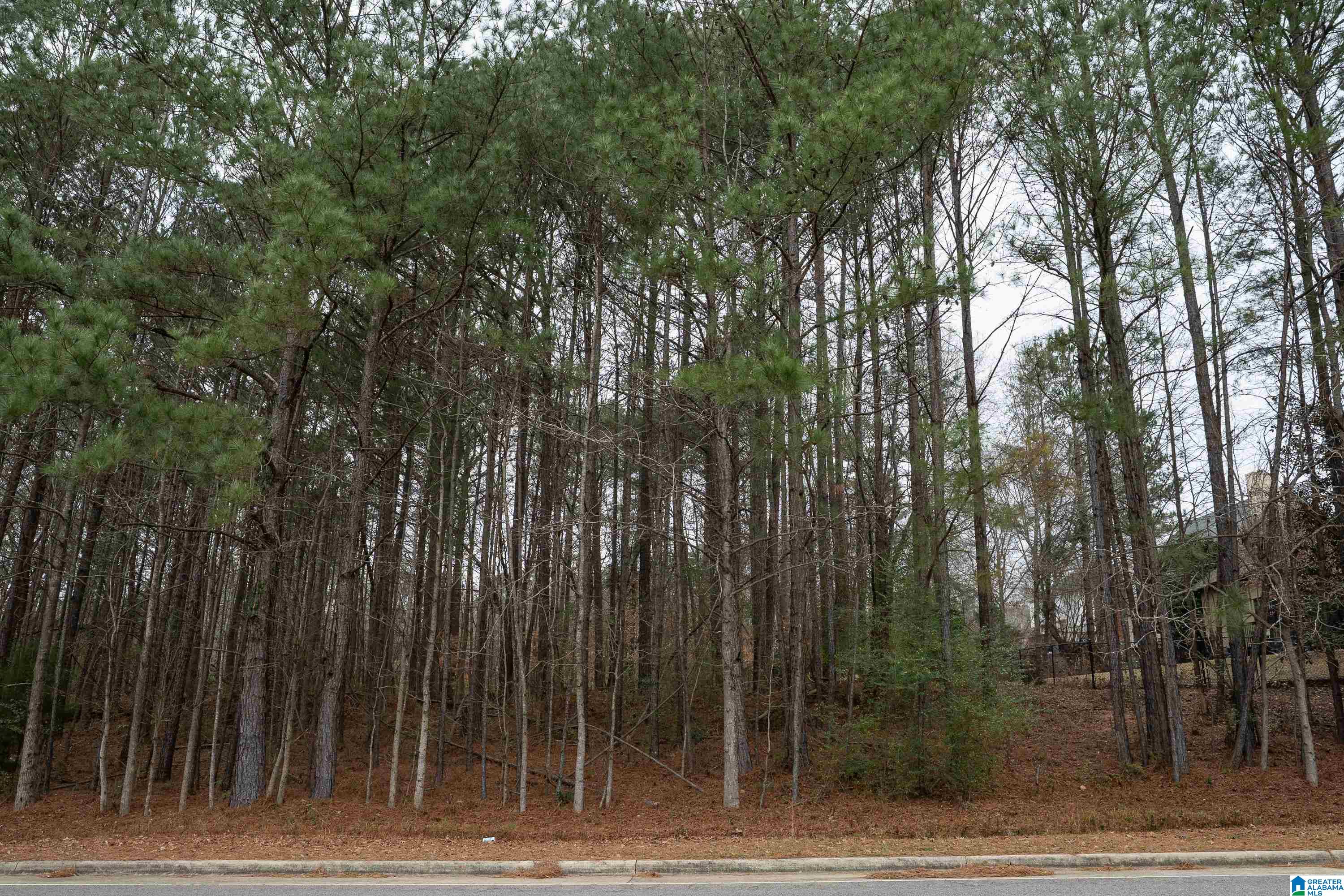 3874 Belmont Road, Unit 5 & 6 Birmingham, AL 35210 - Photo 14 of 15
