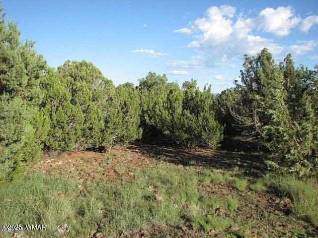 29 T14n R17e: Parcel 6 Heber, AZ 85928 - Photo 1 of 7 lot