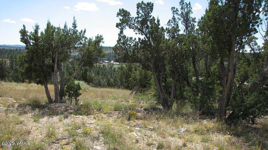 29 T14n R17e: Parcel 6 Heber, AZ 85928 - Photo 7 of 7 7