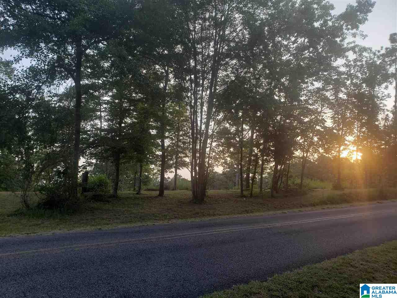 8480 Sharit Dairy Road, Unit LOT 3 Gardendale, AL 35071 - Photo 2 of 9