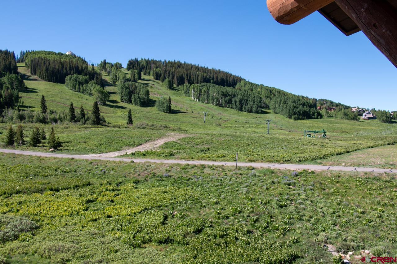 8 Appaloosa Road Crested Butte, CO 81225 - Photo 17 of 25 a view of a field with an trees