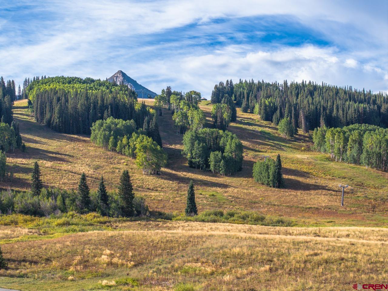 8 Appaloosa Road Crested Butte, CO 81225 - Photo 3 of 25 a view of a yard