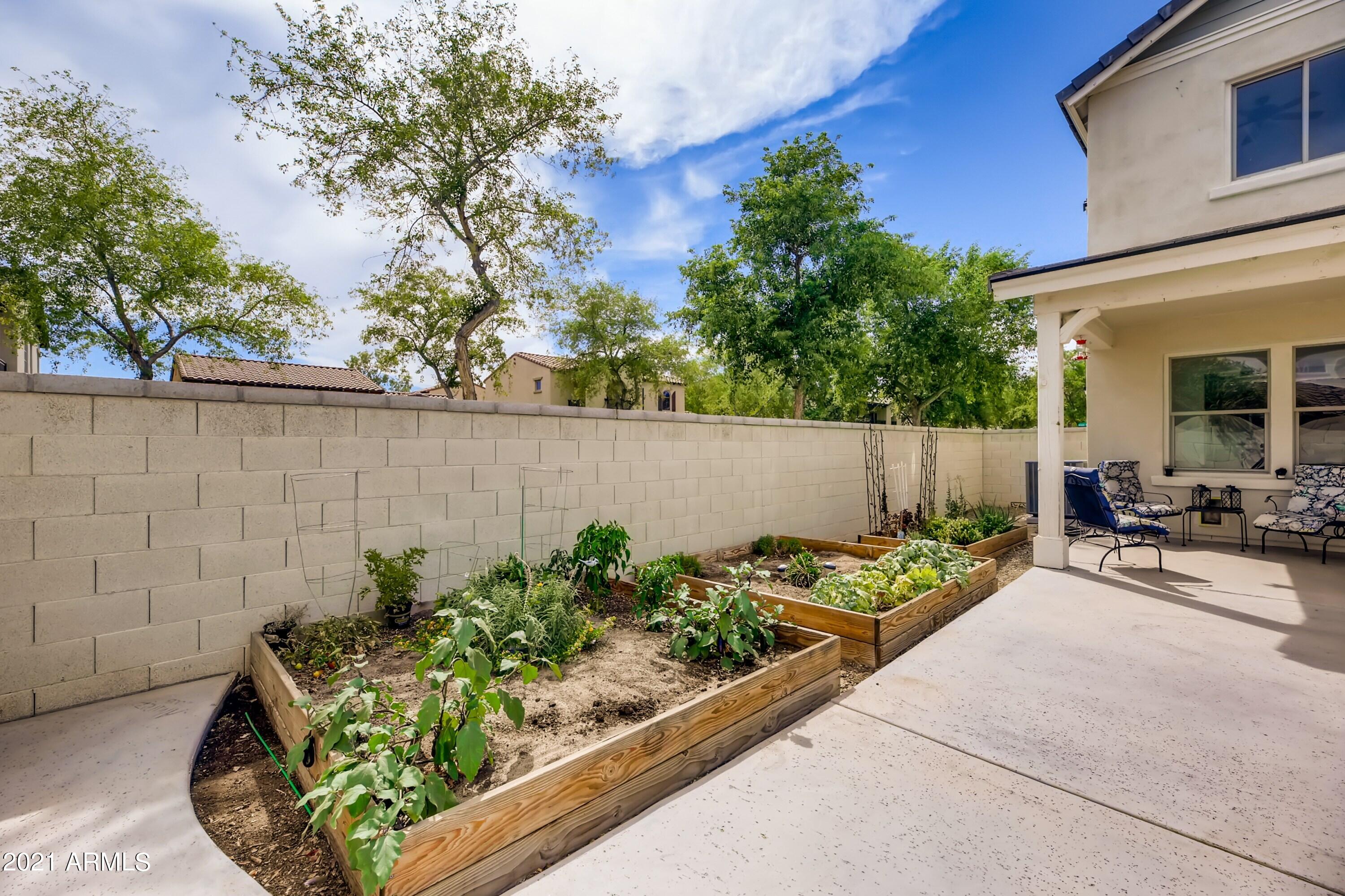 20927 West Ridge Road Buckeye, AZ 85396 - Photo 26 of 27 20 Garden