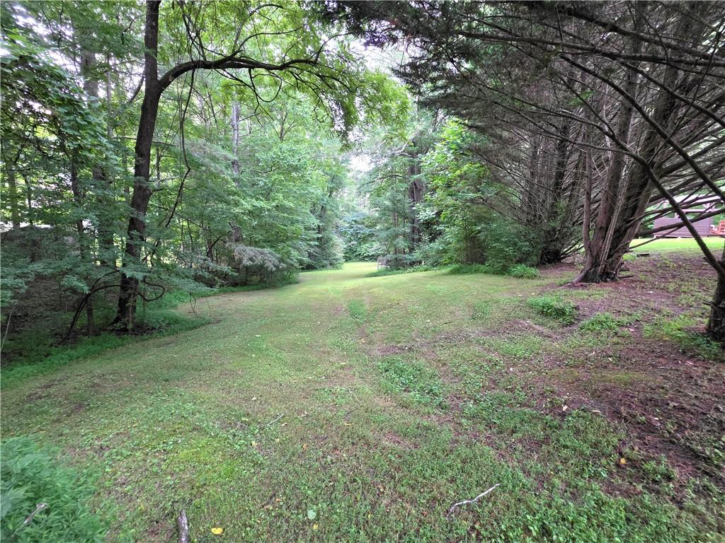 437 Lumber Company Road Talking Rock, GA 30175 - Photo 59 of 59
