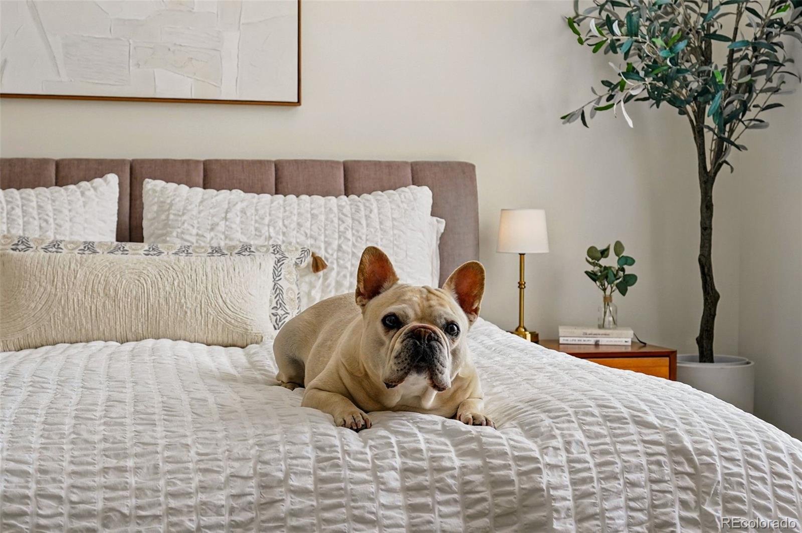 2195 Decatur Street, Unit 212 Denver, CO 80211 - Photo 16 of 38