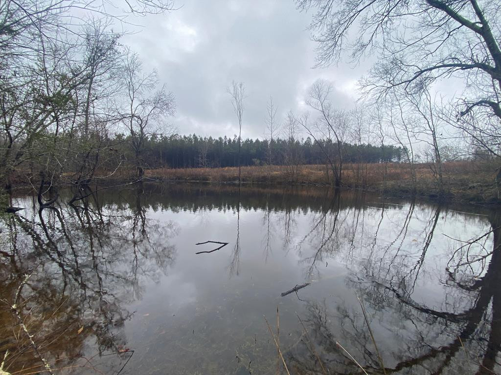 Lot 6 Moss Road Kokomo, MS 39643 - Photo 1 of 6 Main View