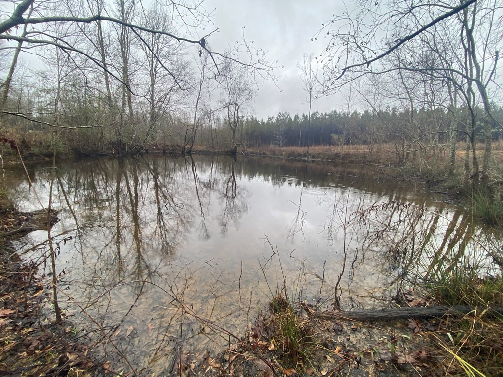 Lot 6 Moss Road Kokomo, MS 39643 - Photo 2 of 6 Photo 2