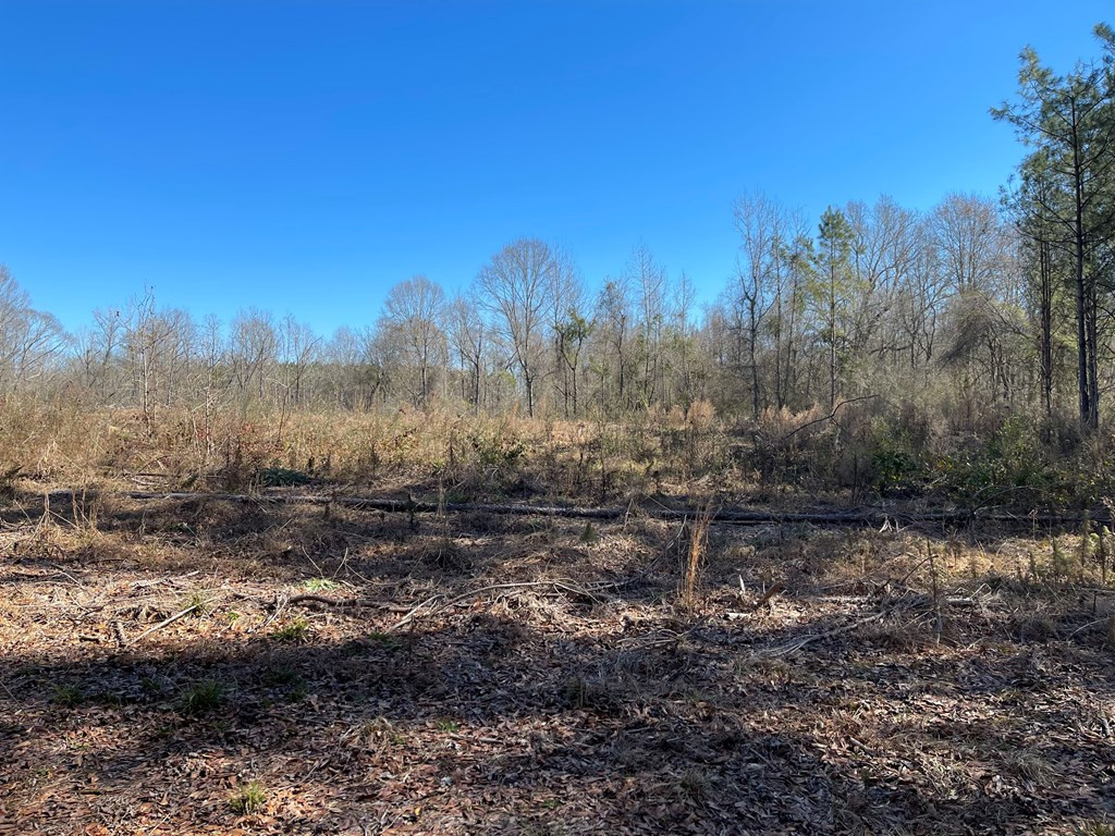 Lot 6 Moss Road Kokomo, MS 39643 - Photo 3 of 6 Photo 3